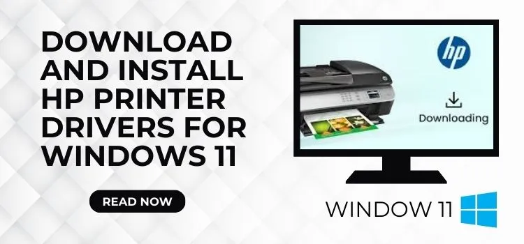 HP Printer Drivers for Windows 11